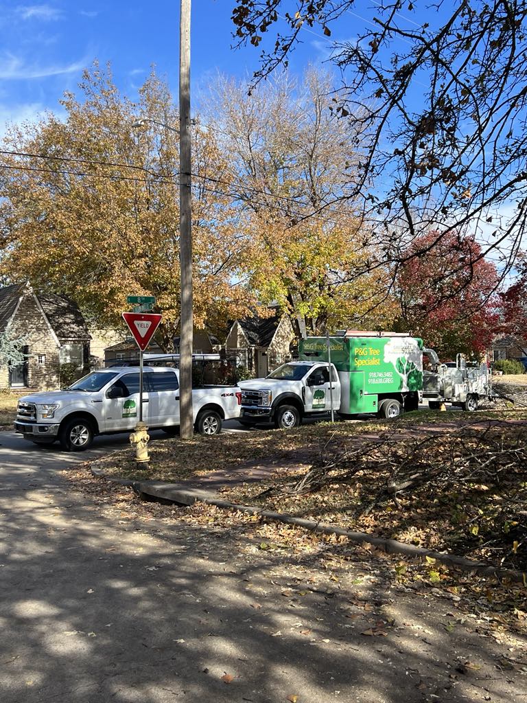 Tulsa Arborist - tree service