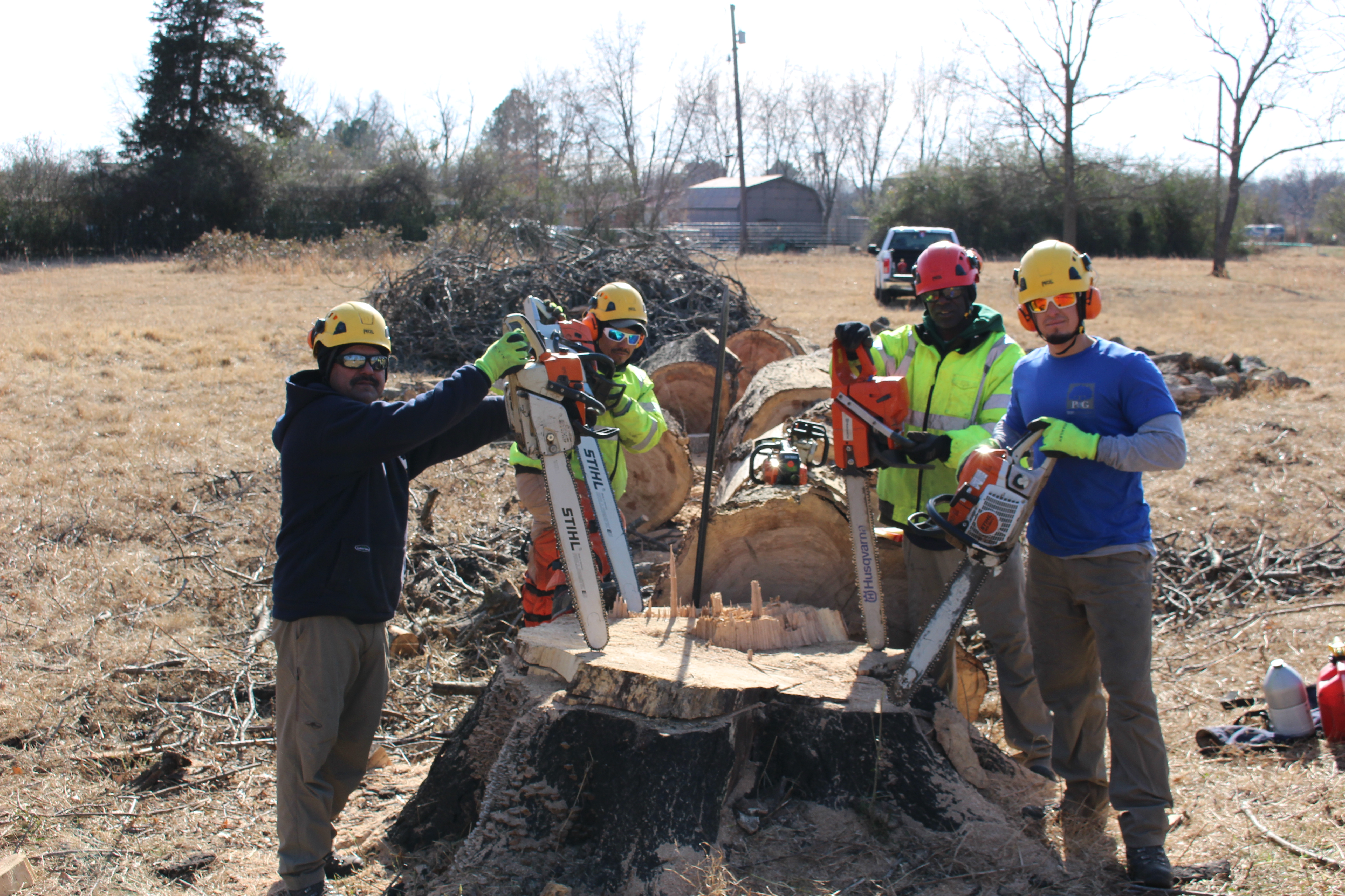 PNG tree maintenance