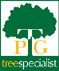 png tree specialist - Tulsa tree services