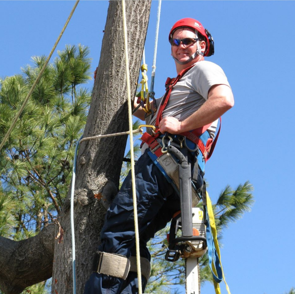 Tulsa P&G Tree Specialist - Greg The Owner