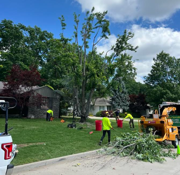 p&g tress specialist - Tulsa tree service